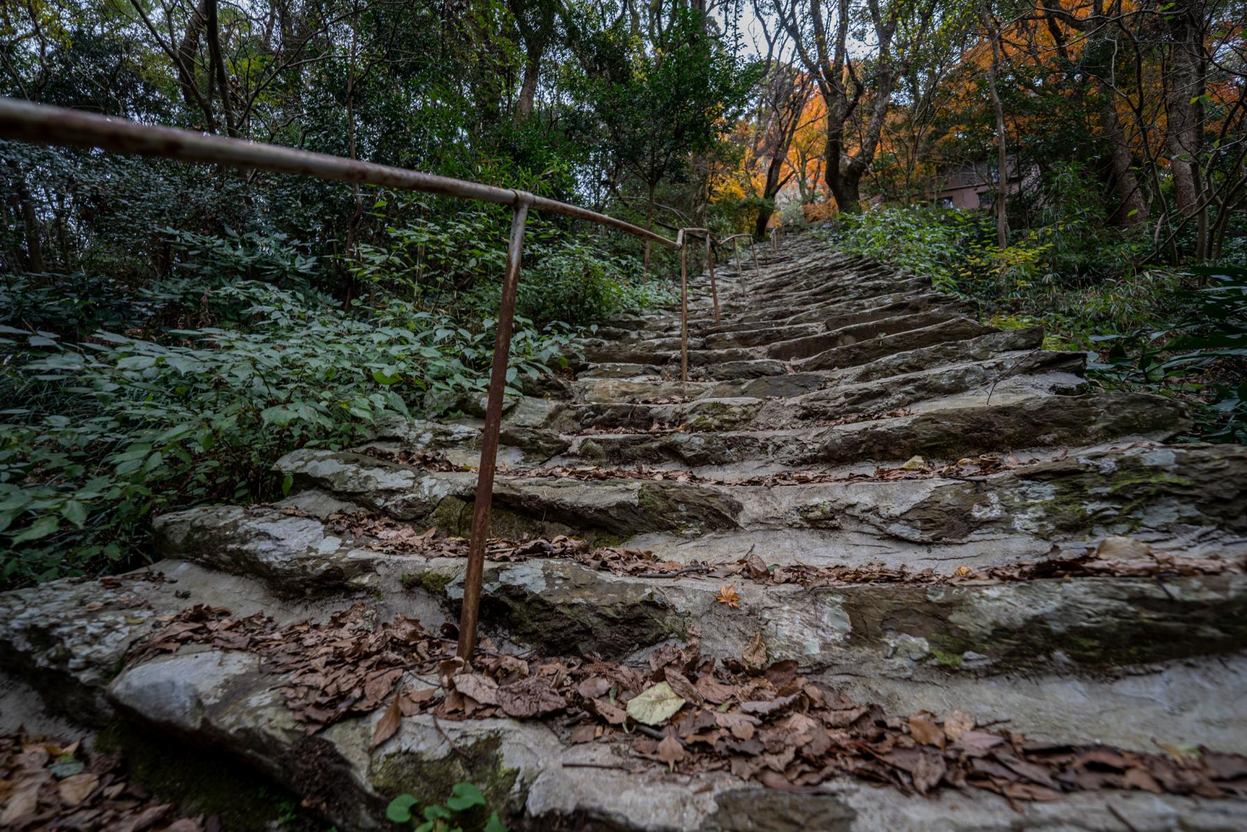 【おまけ】一高山なら金比羅山！ハーフ七高山なら南側三つ！-1