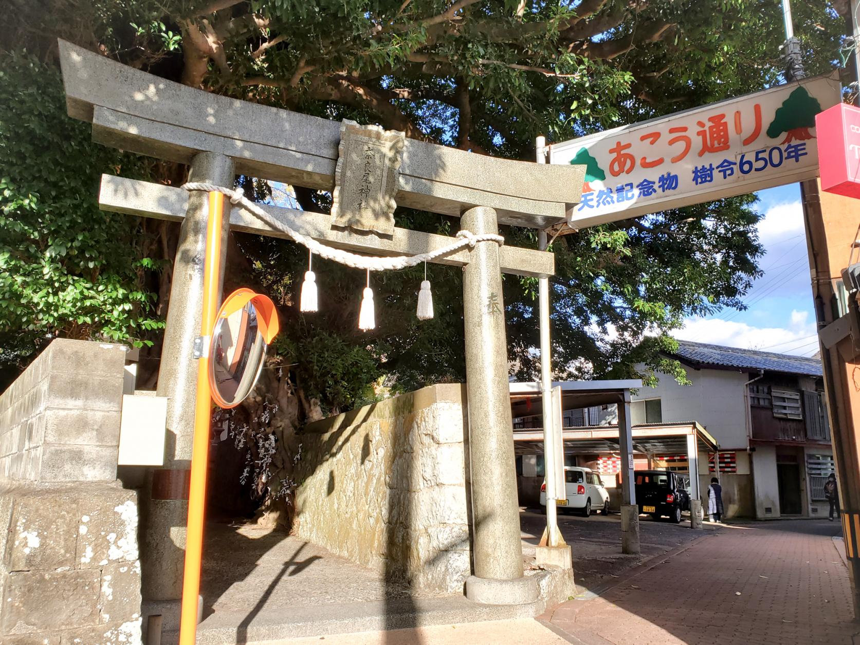 上五島イチのパワースポット！御神木・あこうの樹が鎮座する奈良尾神社-1