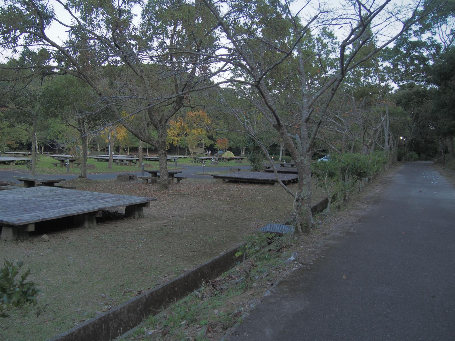 本日のキャンプ場「大崎自然公園」-2