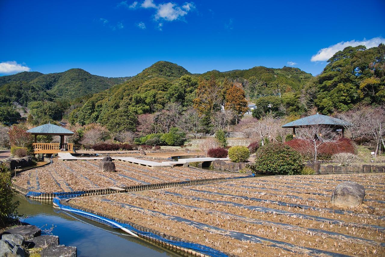 まずは皿山公園散策！-2