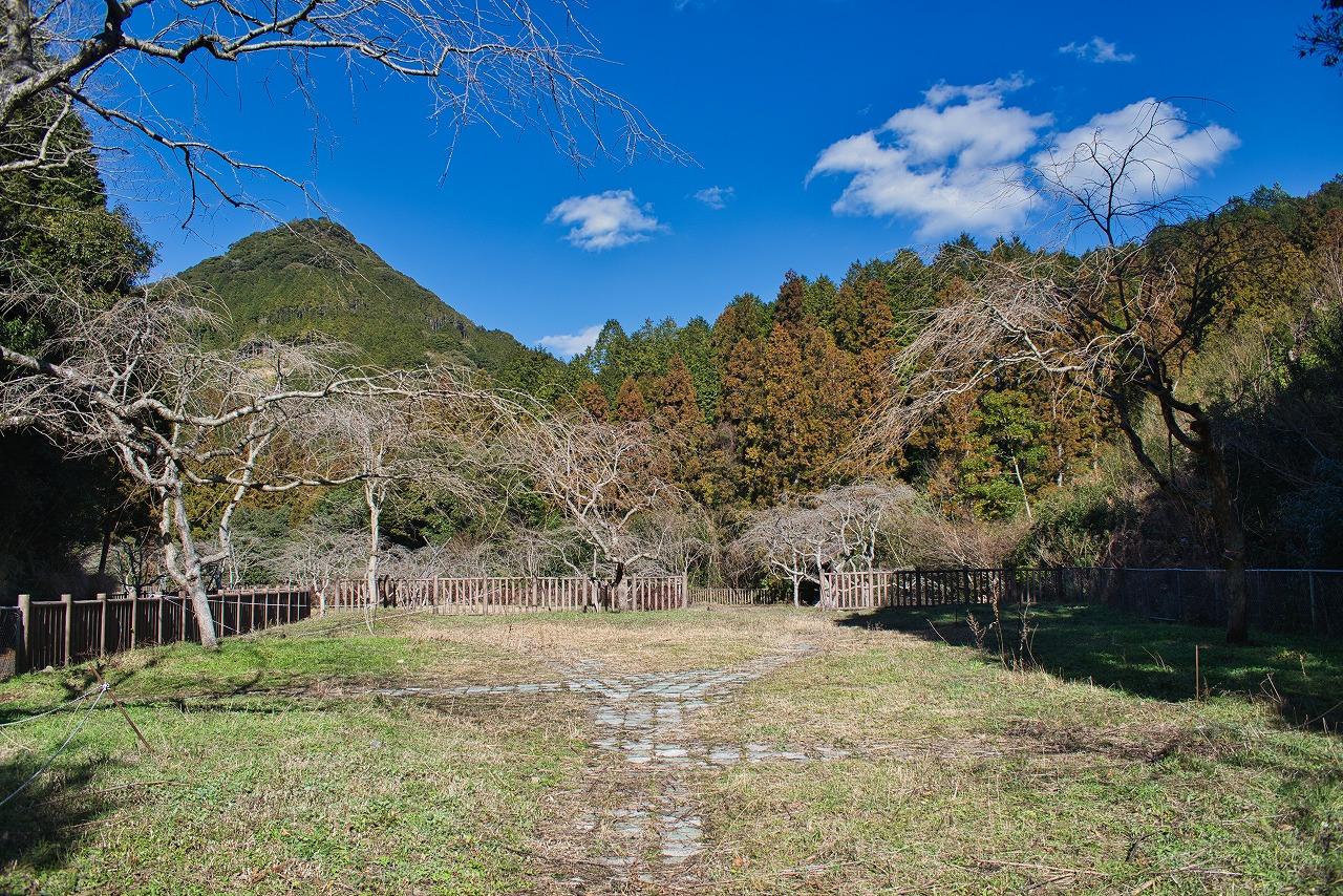 しだれ桜の名所「真竹谷公園」-1