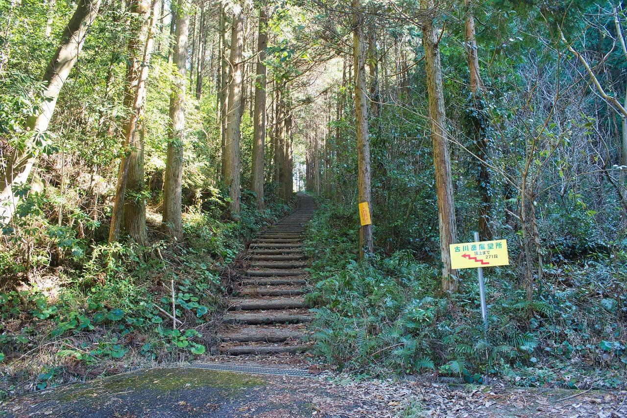 行くぞ！古川岳展望所まで271段！-0