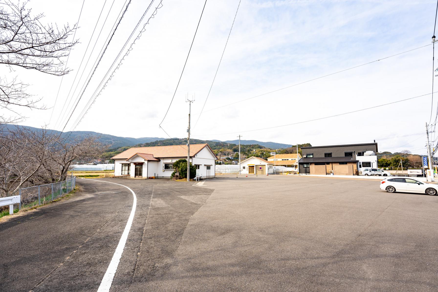 駐車場で買えるお花見弁当もチェック！-1