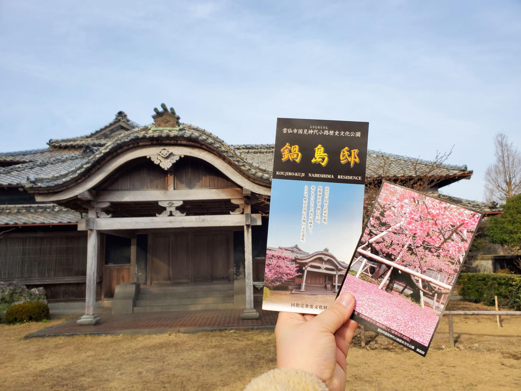緋寒桜で有名な鍋島邸は神代小路の最重要スポット！-0