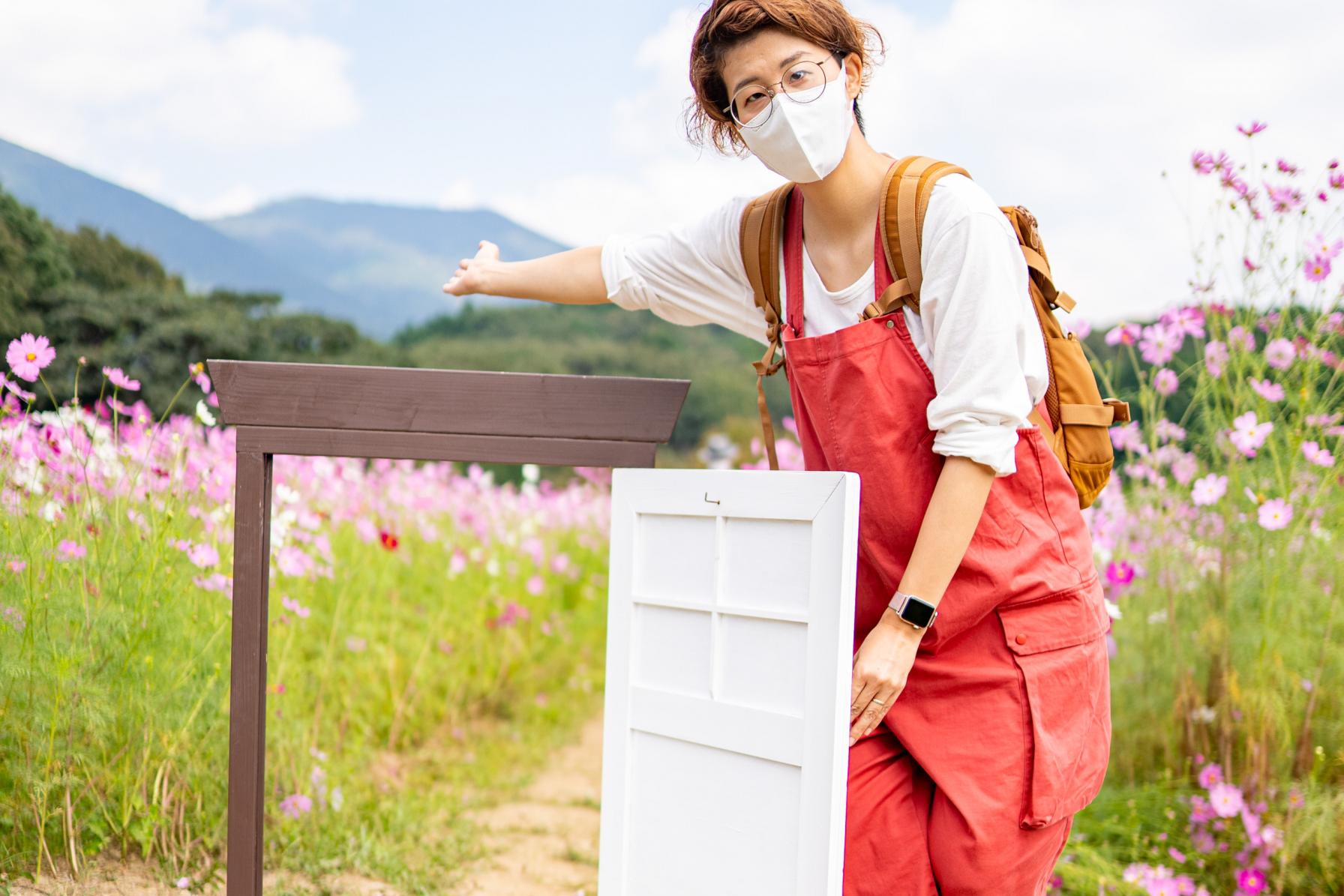 【10月】桜に次ぐ花人気ナンバー2！可憐なコスモスを見にいこう-3