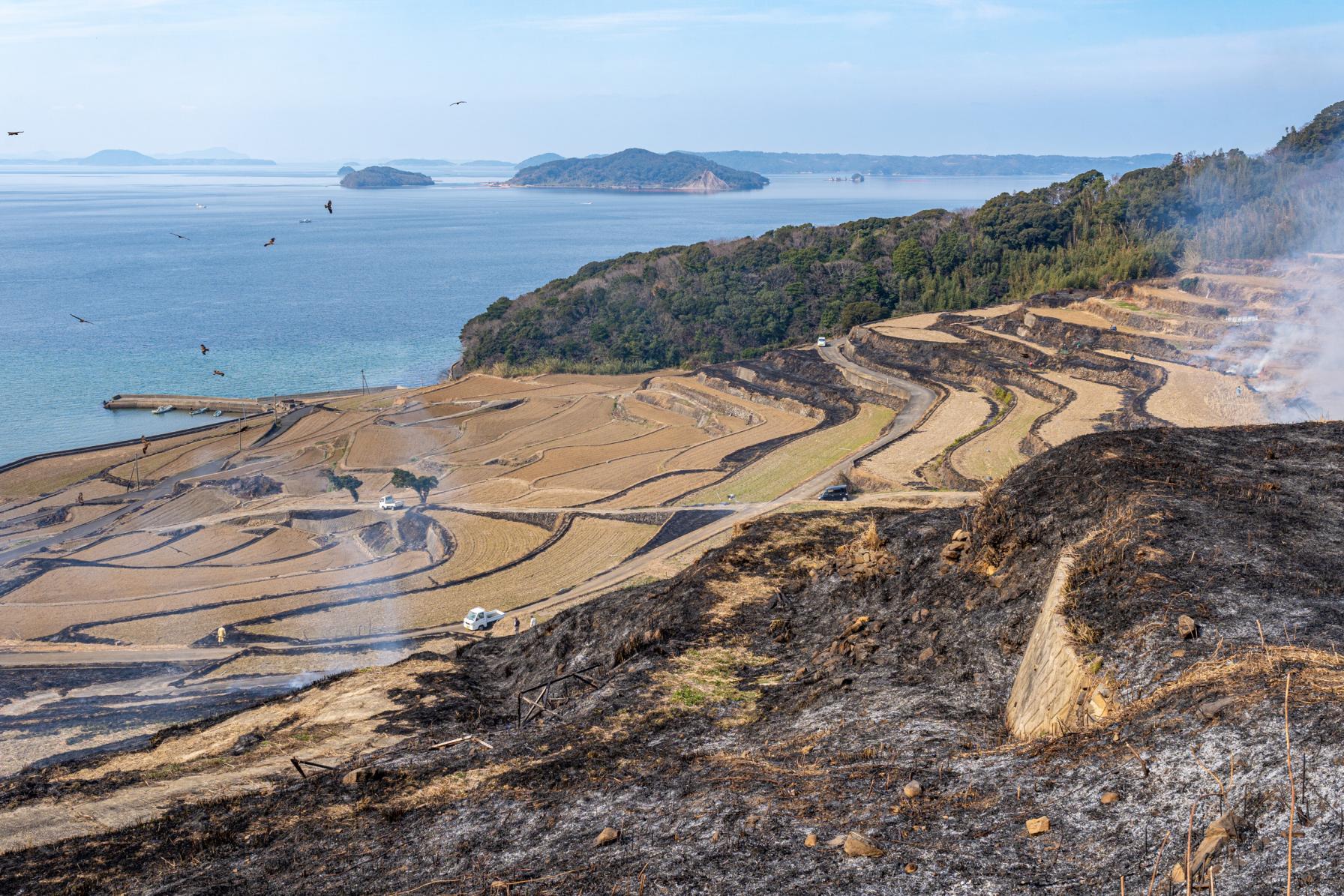 水張り時期だけじゃない！絶景「土谷棚田」の野焼きも◎-1