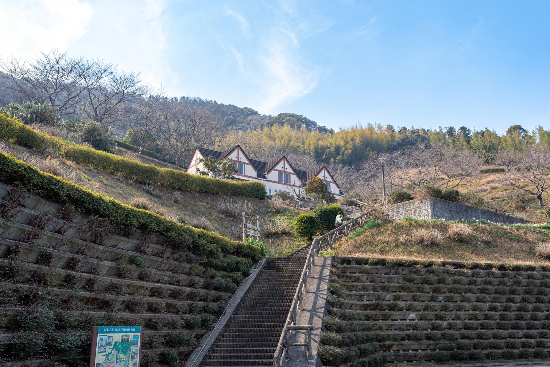 「イロハ島」を望む！絶景が見られる「蛙鼻公園」へ-1