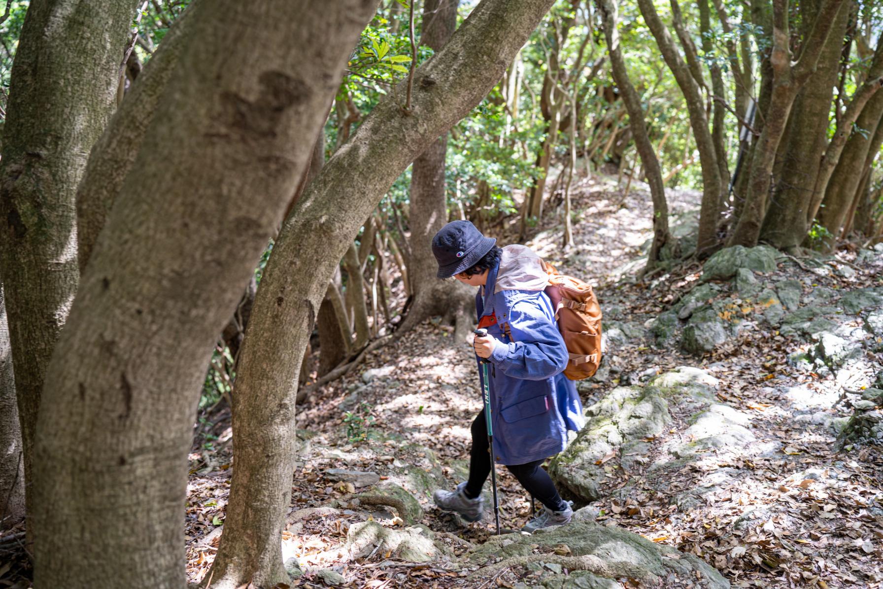 最後まで気を抜かず、下山！-0