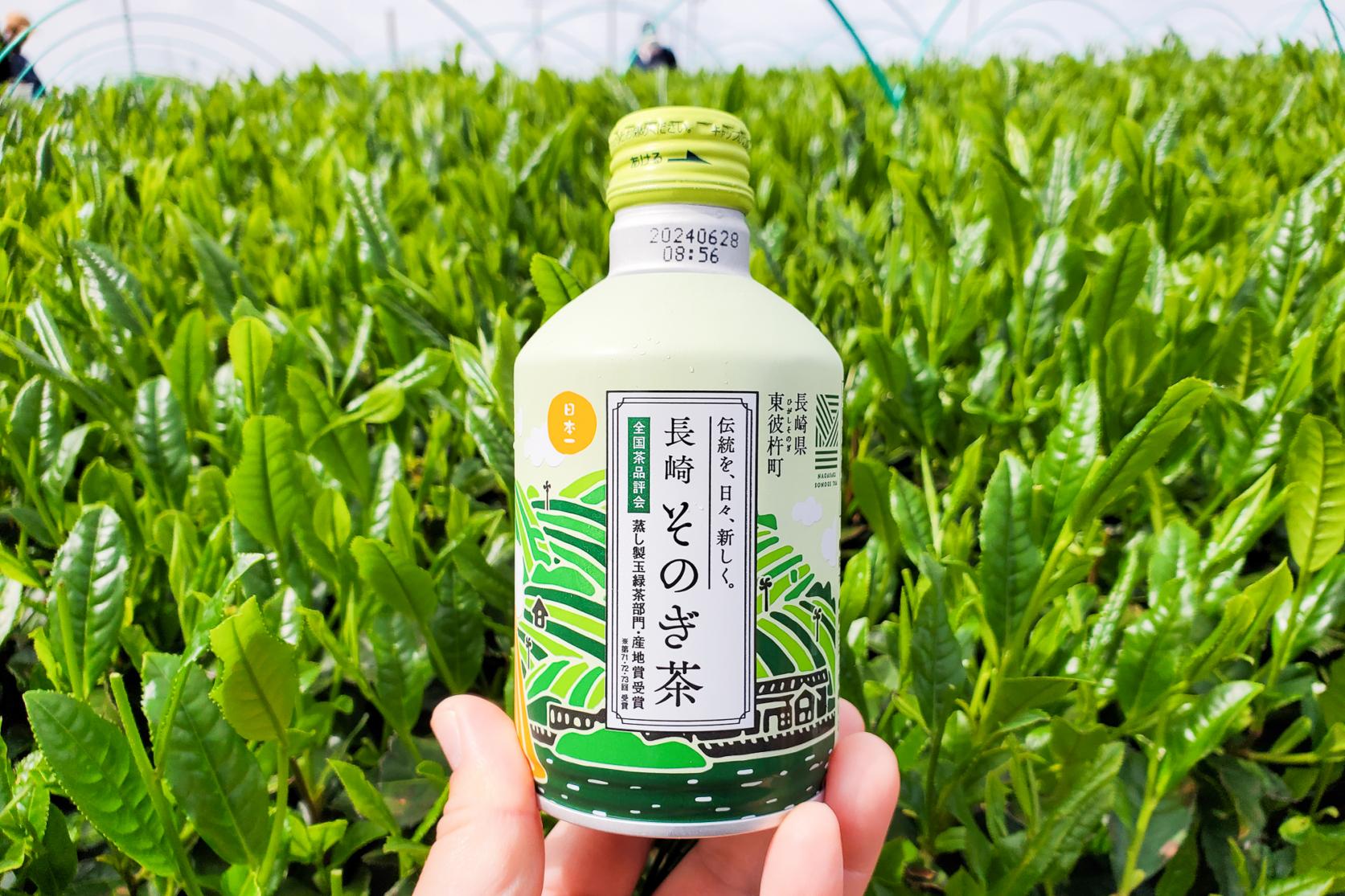 日本一のお茶、「そのぎ茶」とは-0