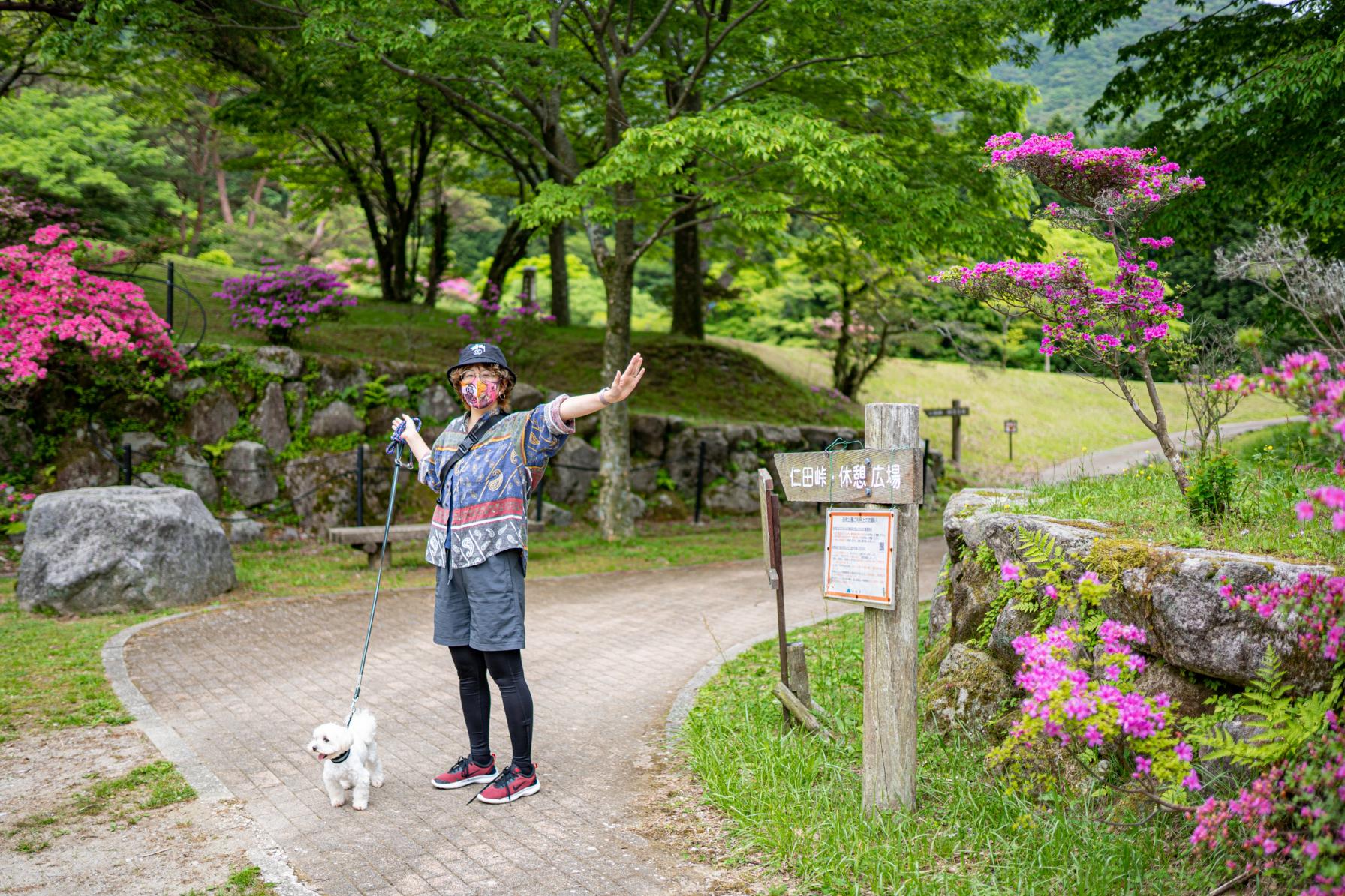 【登山レポ】ミヤマキリシマを見ながらのハイキングも！-0