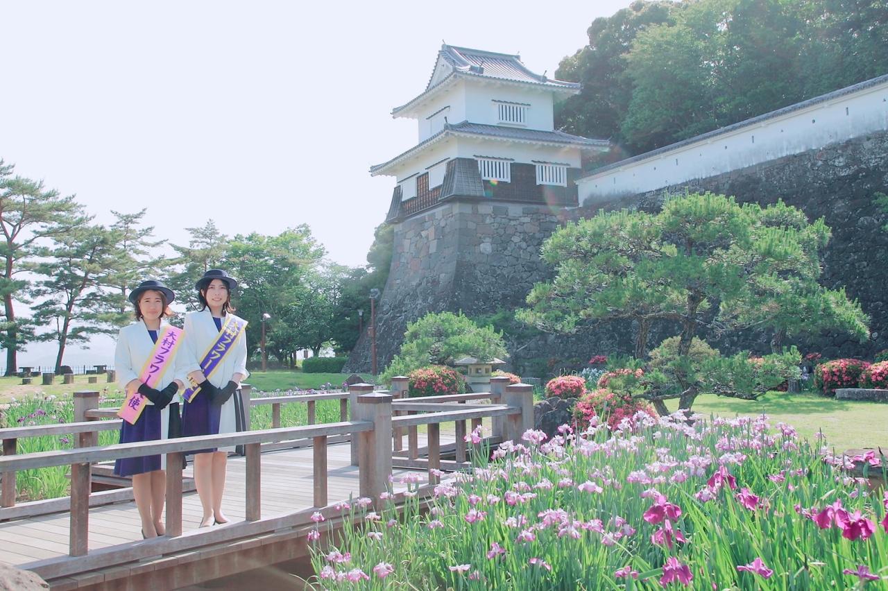 大村公園の「花菖蒲園」がもうすぐ見ごろを迎えます-2