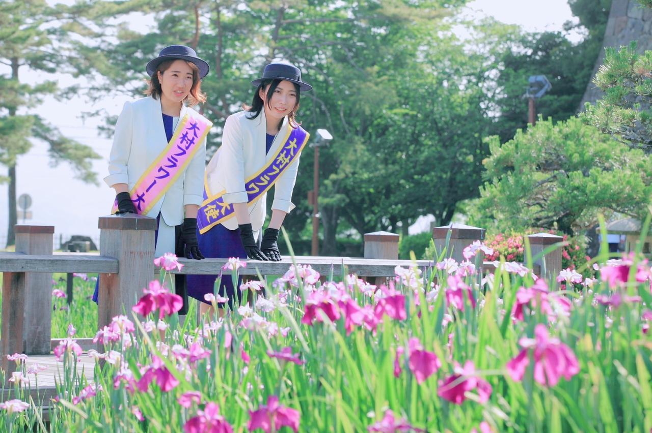 大村公園の「花菖蒲園」がもうすぐ見ごろを迎えます-0