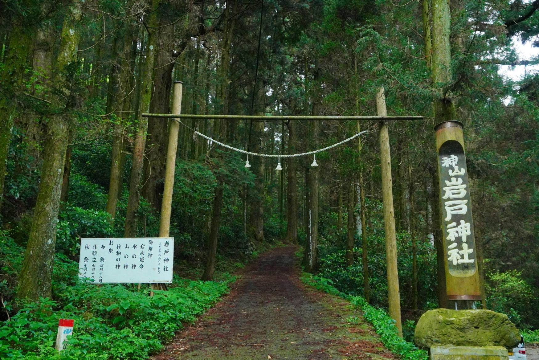 岩戸神社の入口からはすでに神秘的な雰囲気が-0