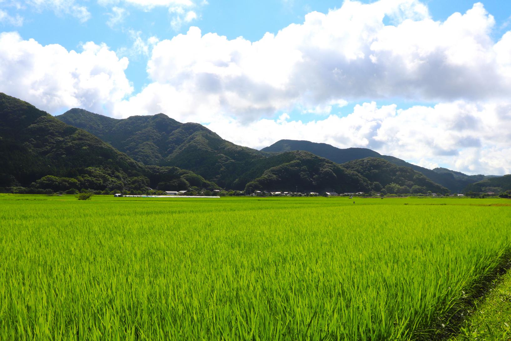 地球を教材にした、島内の名人に教わる温かみのある学びの場-0