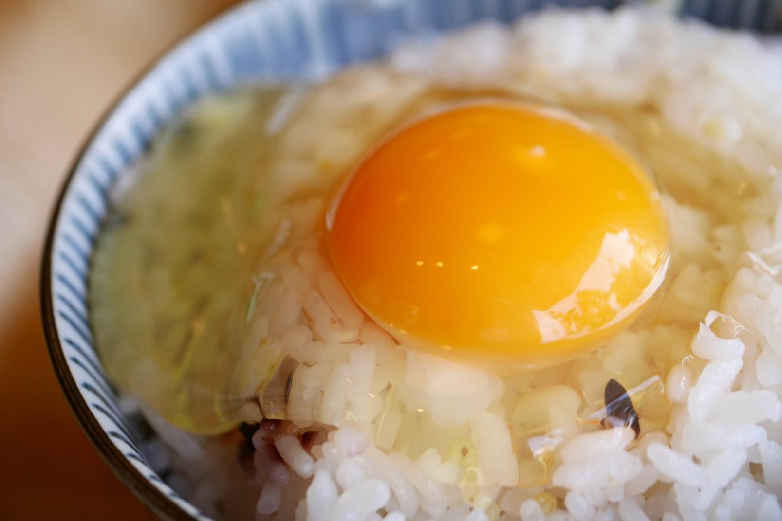 おすすめは卵かけご飯-0