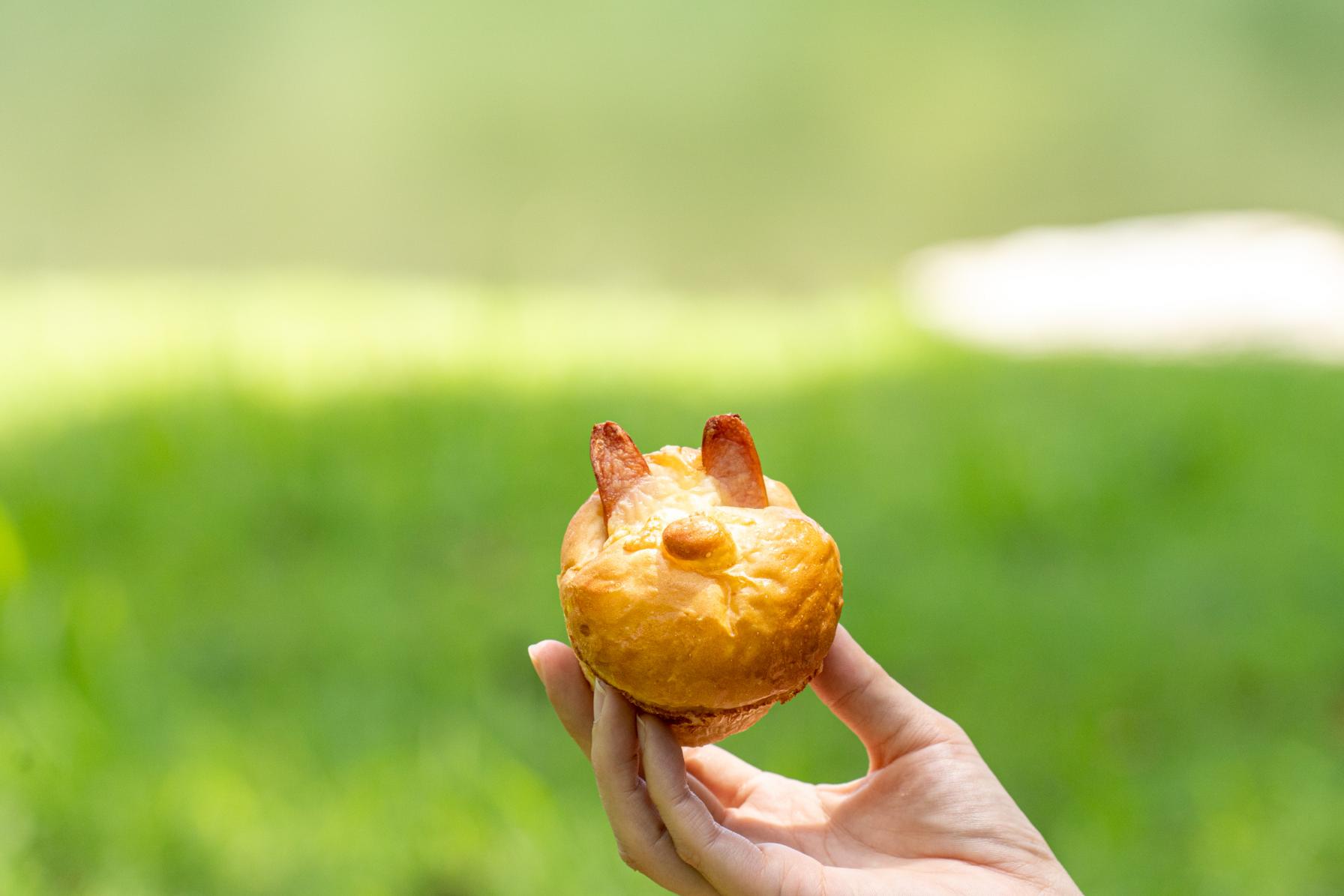 琴海中央公園でピクニックも、また乙なのです-1