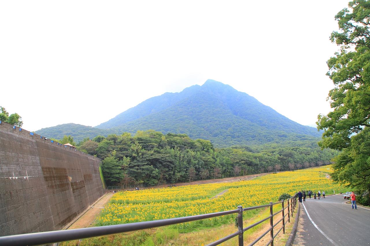 しまばら火張山花公園とは？-0