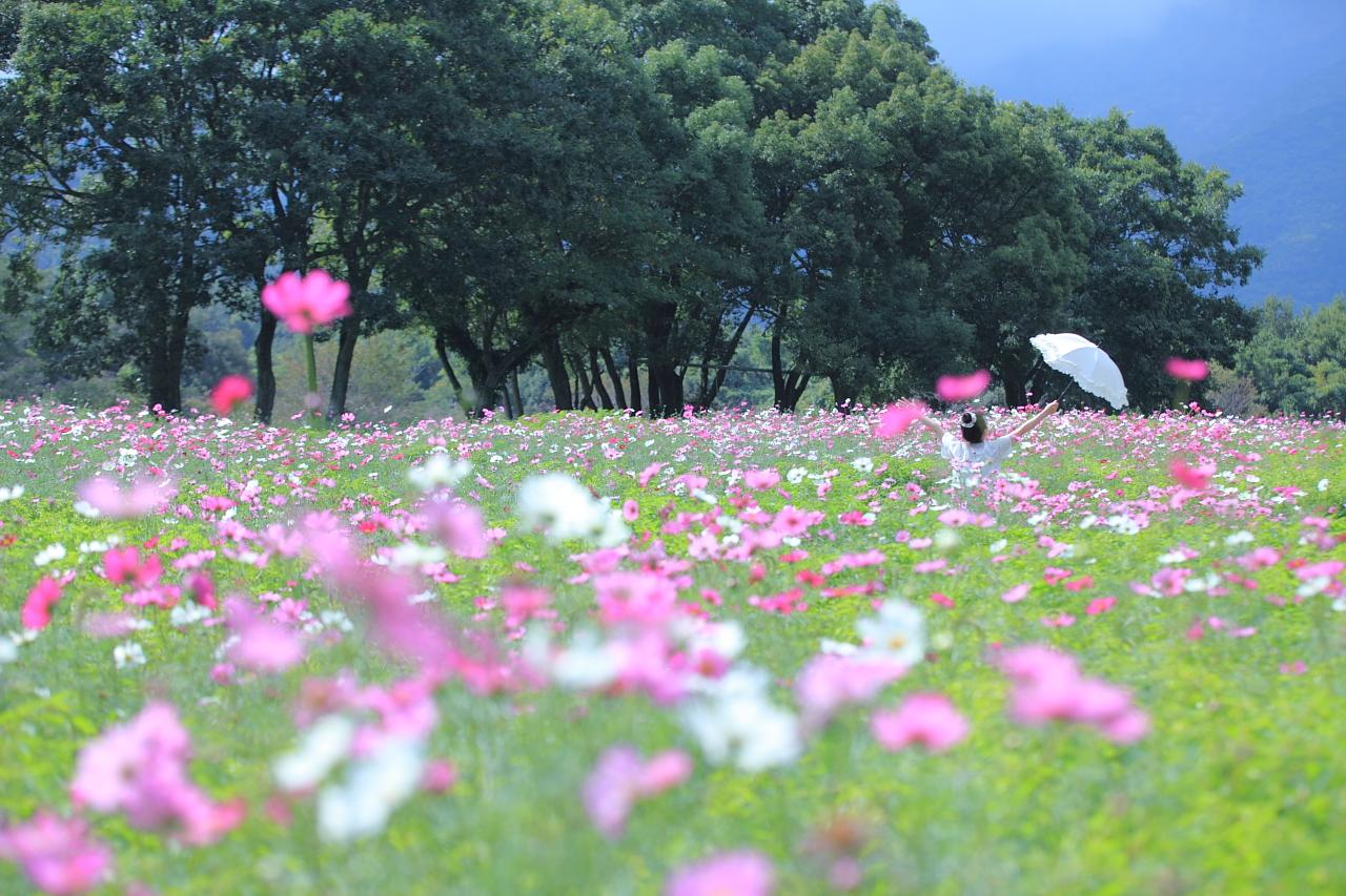 圧縮効果を使うと、人物が花に埋もれたような写真になります！-0