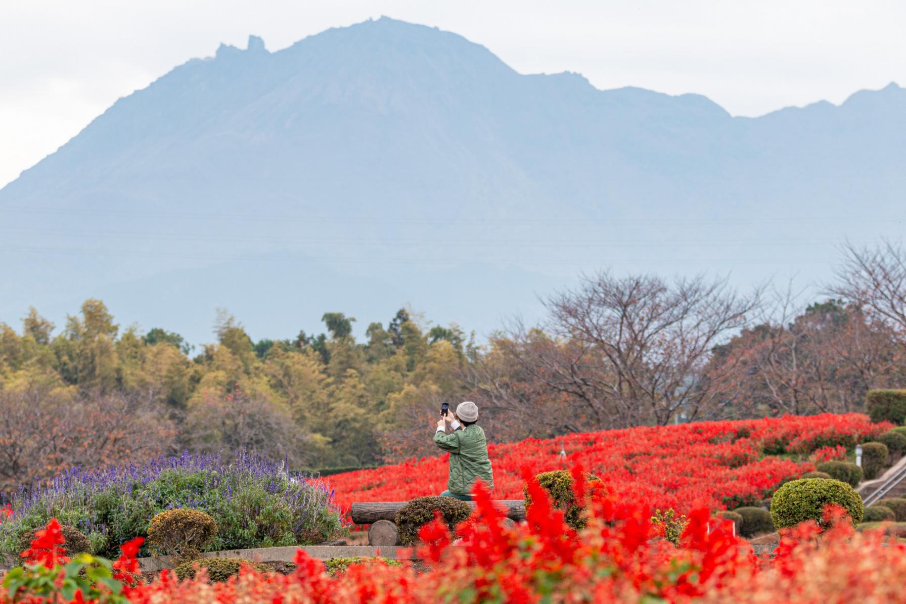 季節のお花が咲く【有明の森フラワー公園】へ！-0