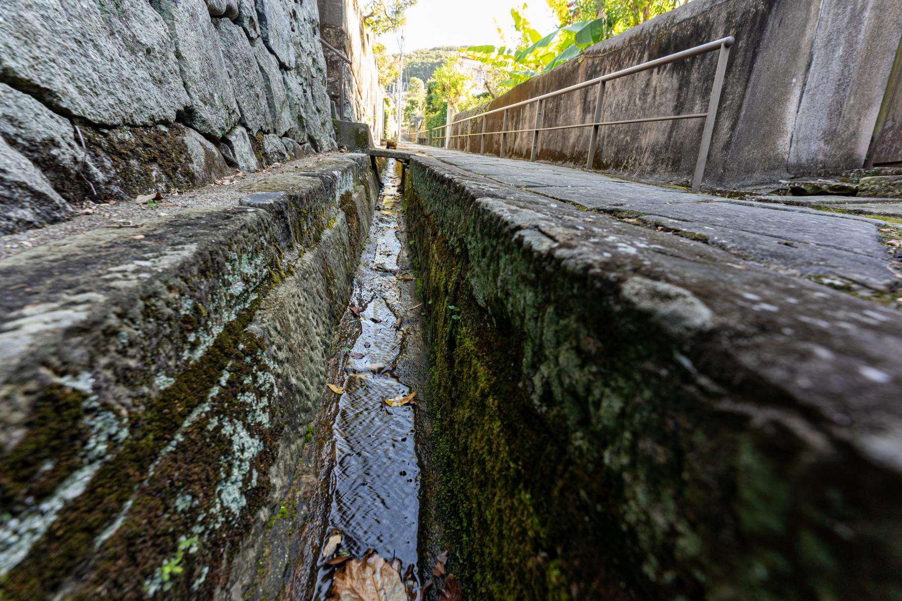 【どんどん坂】しっとりした雨の日に訪れたい隠れ坂-2
