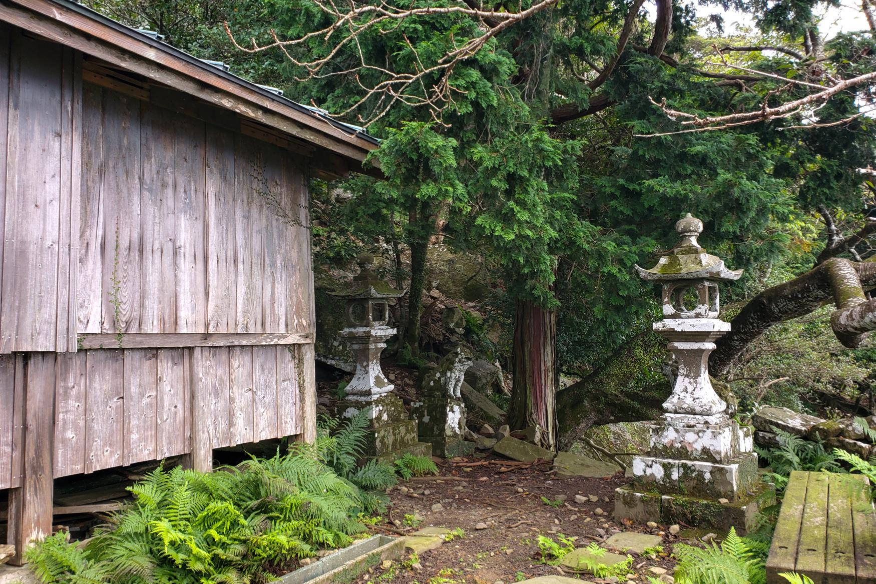 自然の中に佇む社。沖ノ神嶋神社(おきのこうじまじんじゃ）に到着-1