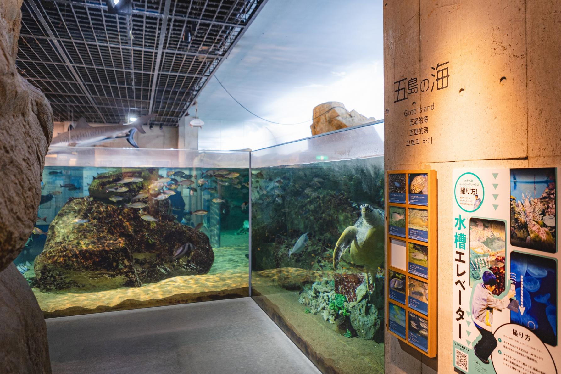 地域密着型の水族館「九十九島水族館海きらら」-3