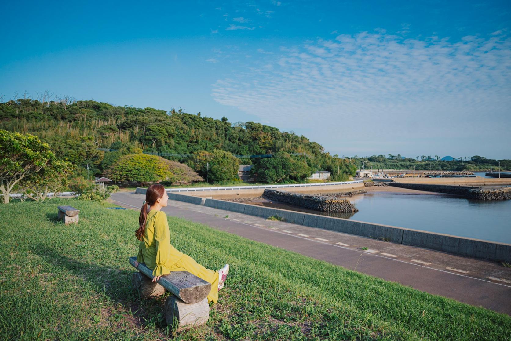 地元民しか知らない巨大なアコウの木！-2