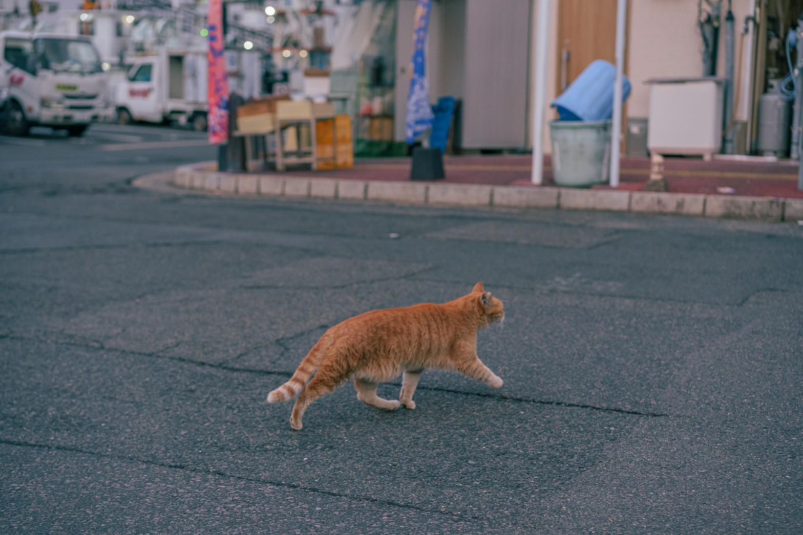 万津6区（よろづろっく）ってどんな町？？-1