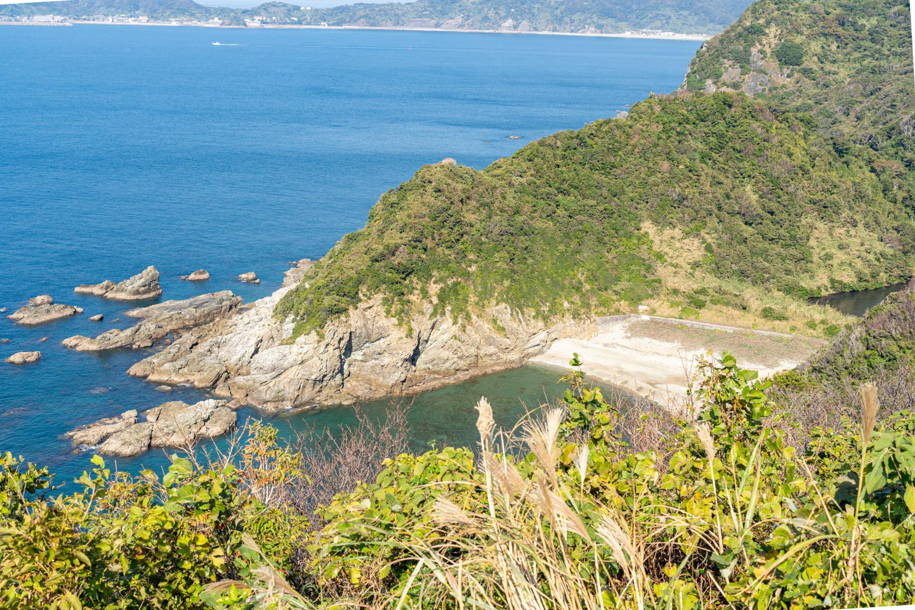 樺島灯台で、渡りをする蝶・アサギマダラを見た！-0