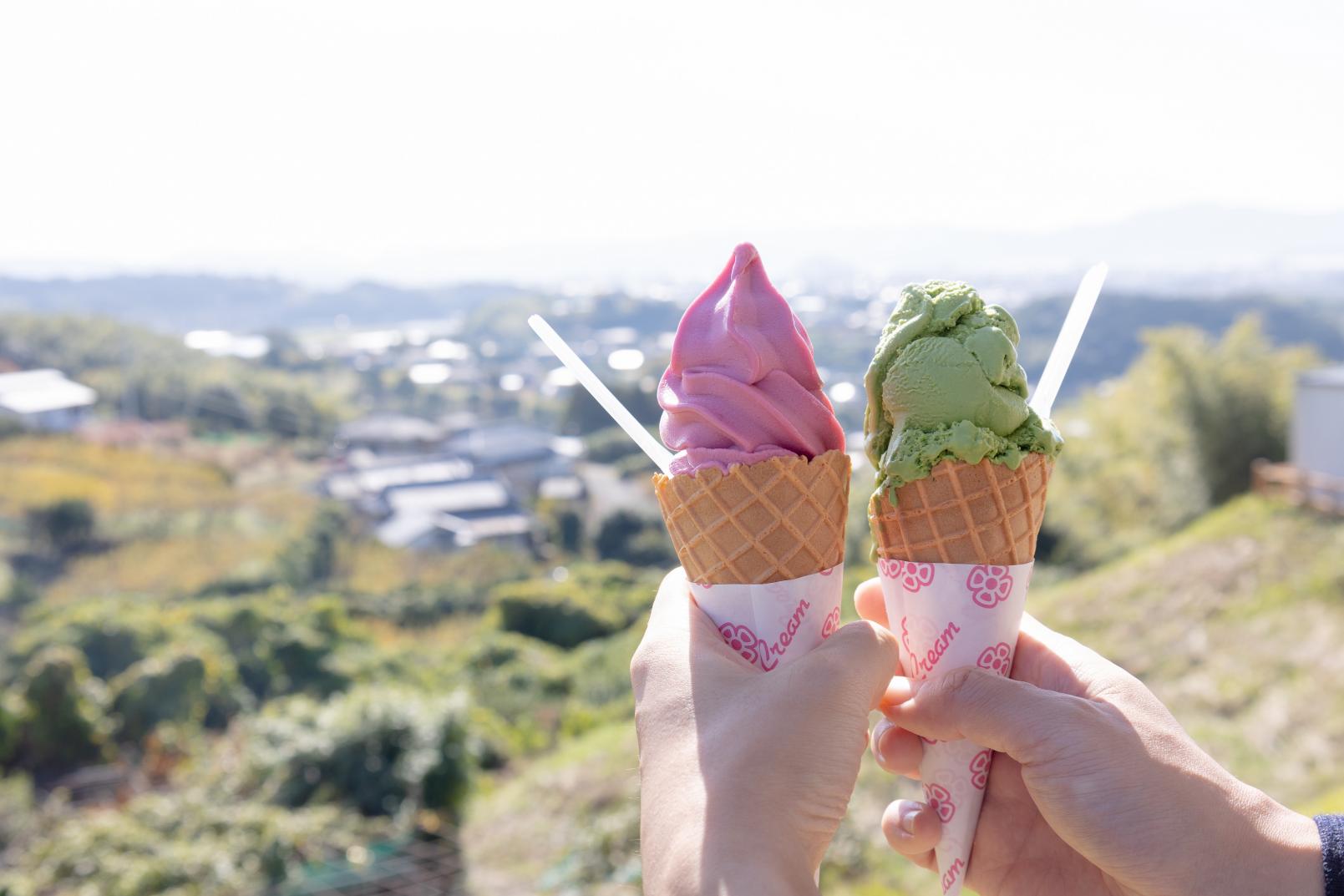 アイスは寒くても絶対食べるべき！その理由は・・・？！-1