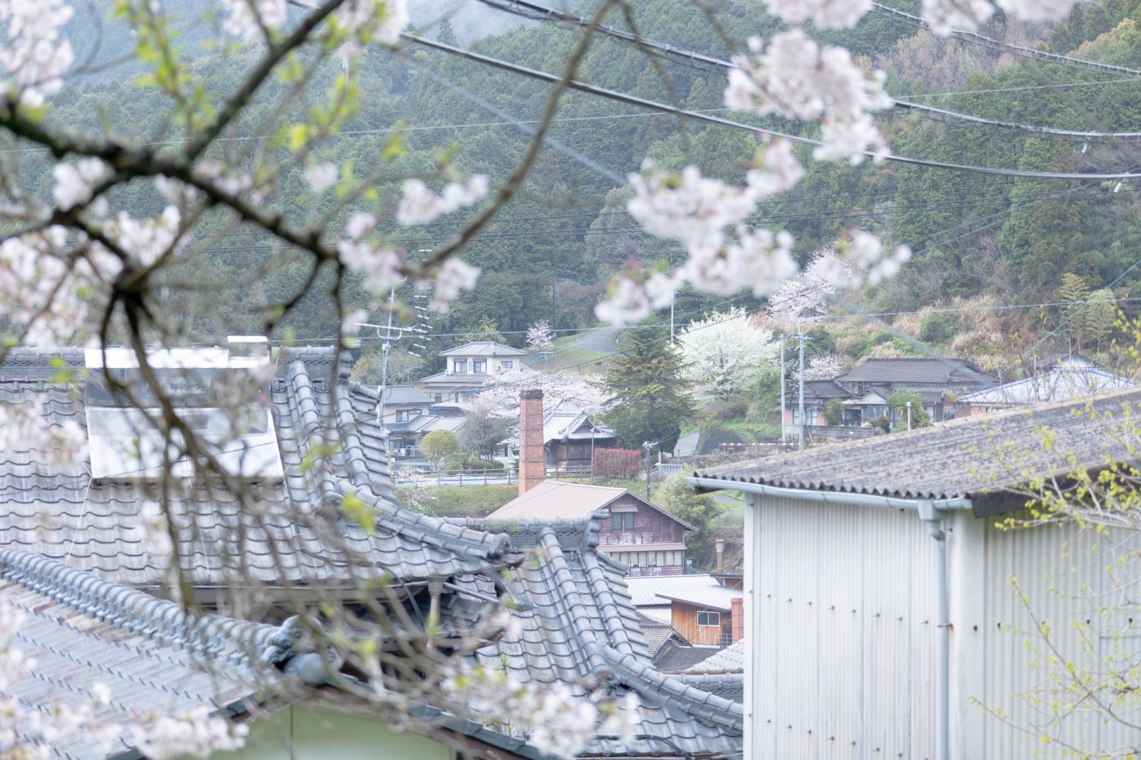 波佐見町ってどこにあるの？波佐見焼って？？-0