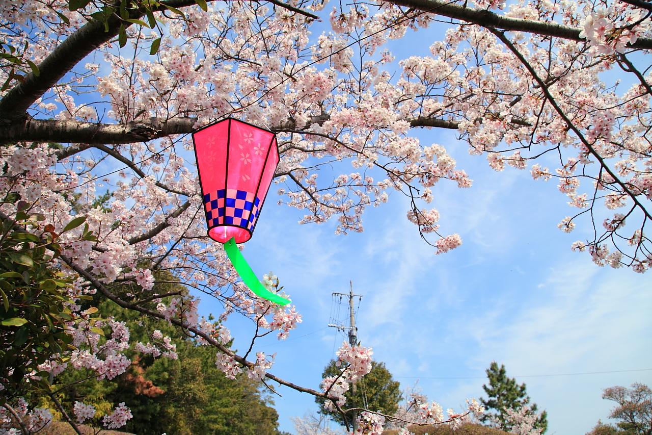 大崎自然公園「くじゃく園」は、入場料無料で遊べるテーマパークです！-1