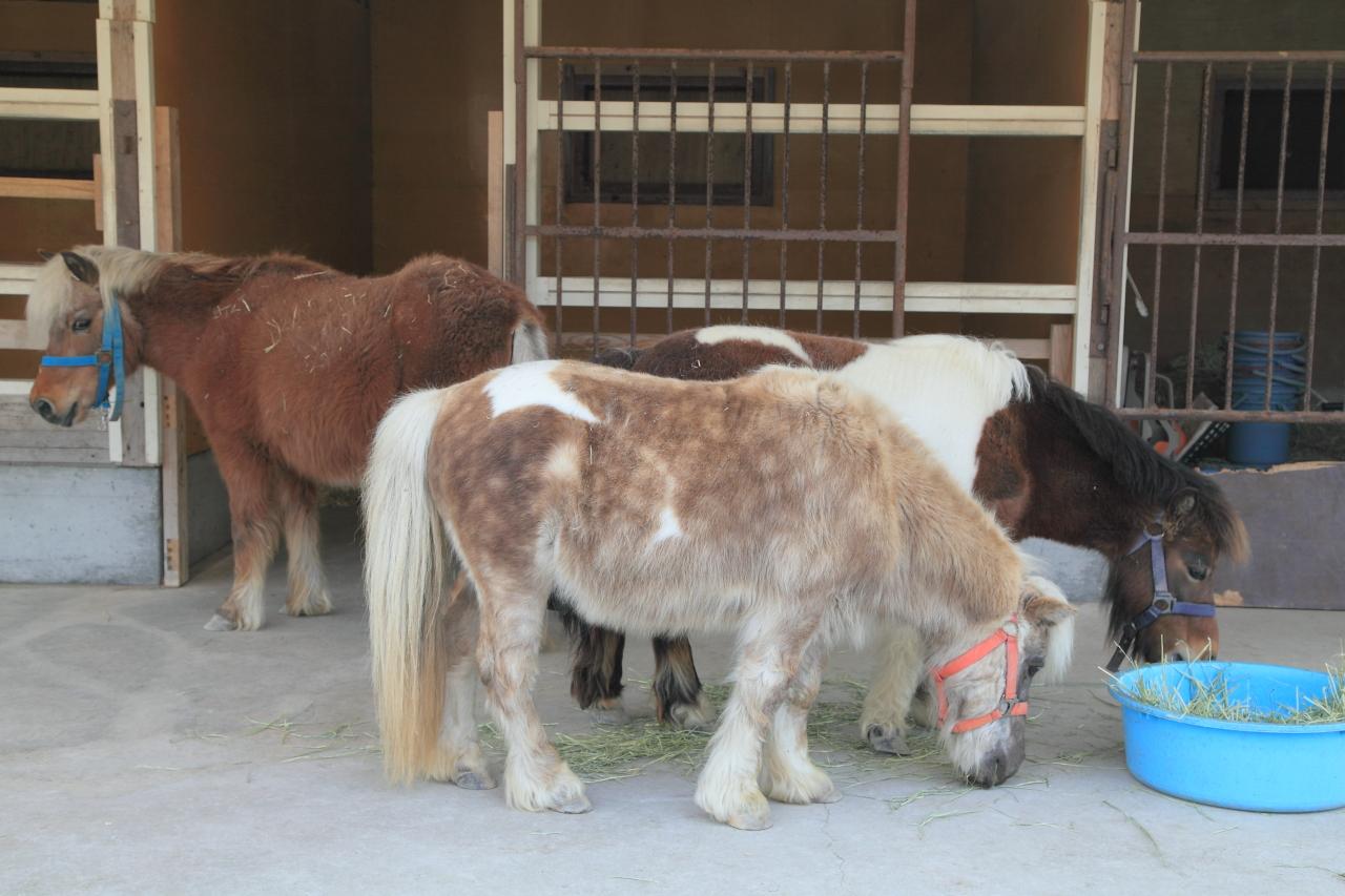 園内各所には小動物も！-2