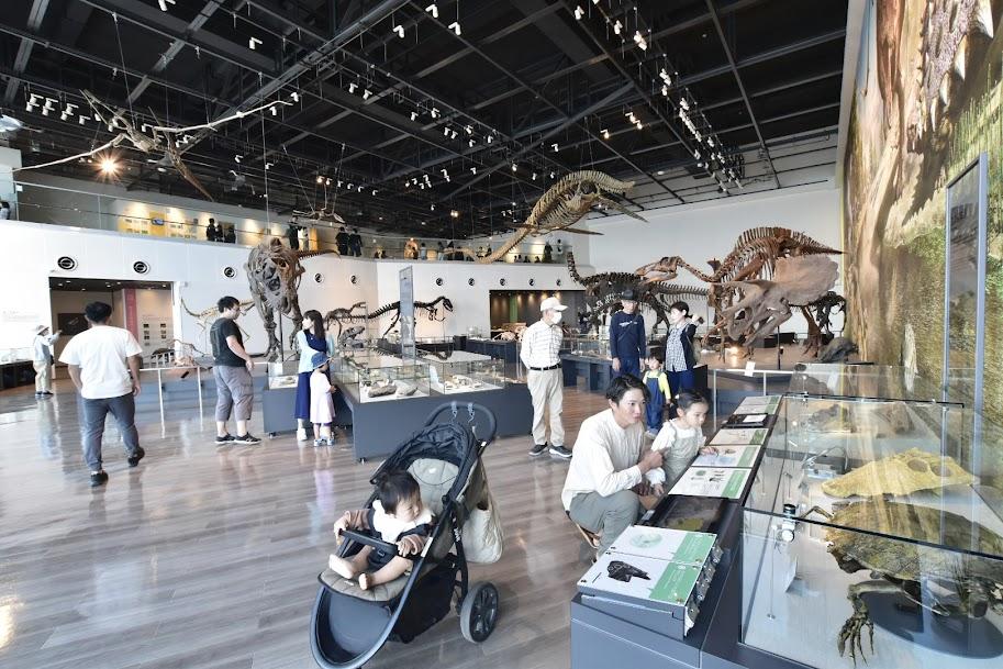 i+Land nagasakiに宿泊するなら2日目の観光に「長崎市恐竜博物館」はいかが？-4