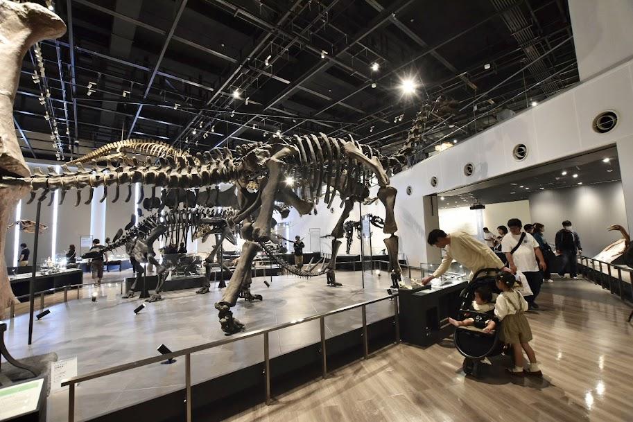 i+Land nagasakiに宿泊するなら2日目の観光に「長崎市恐竜博物館」はいかが？-2