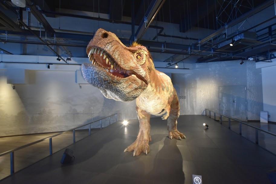 i+Land nagasakiに宿泊するなら2日目の観光に「長崎市恐竜博物館」はいかが？-8