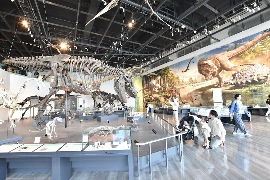 i+Land nagasakiに宿泊するなら2日目の観光に「長崎市恐竜博物館」はいかが？-5