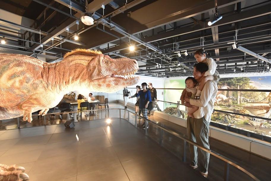 i+Land nagasakiに宿泊するなら2日目の観光に「長崎市恐竜博物館」はいかが？-6