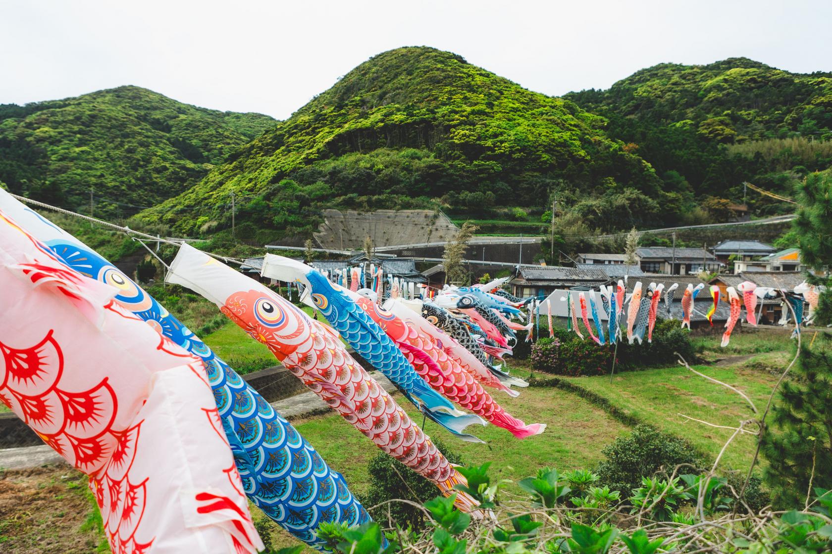 「琴石地区」の鯉のぼりは島内一の大家族！-2