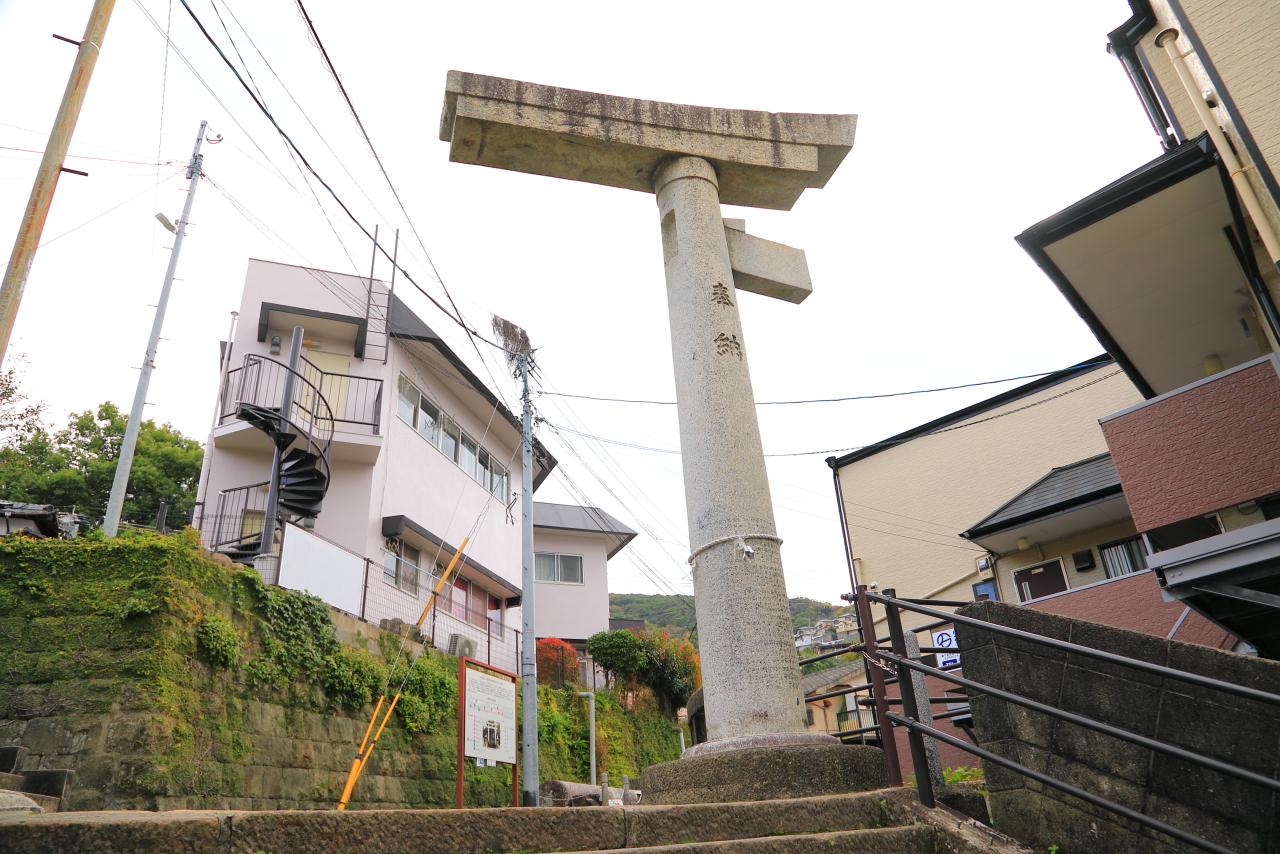 【クスノキ】一本柱鳥居-0