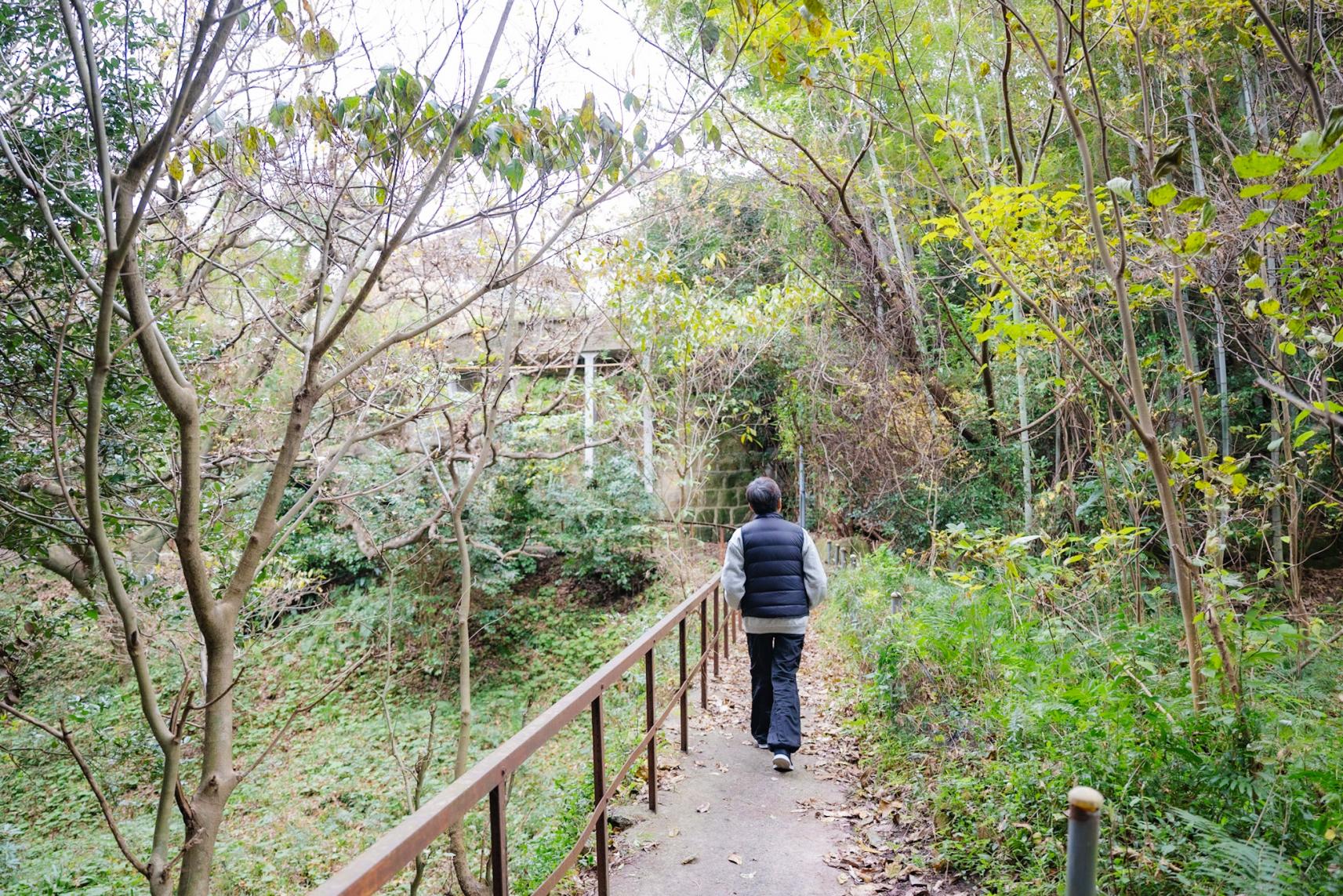 坂道でみつけた自然界隈!穴場すぎる渓谷!!-0