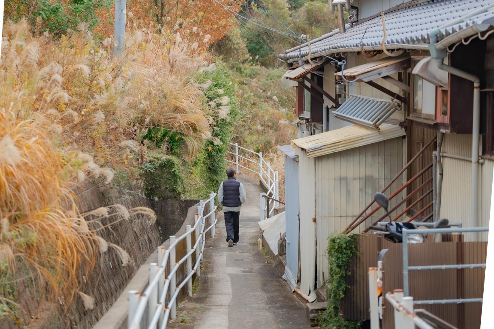 坂道でみつけた自然界隈!穴場すぎる渓谷!!-1