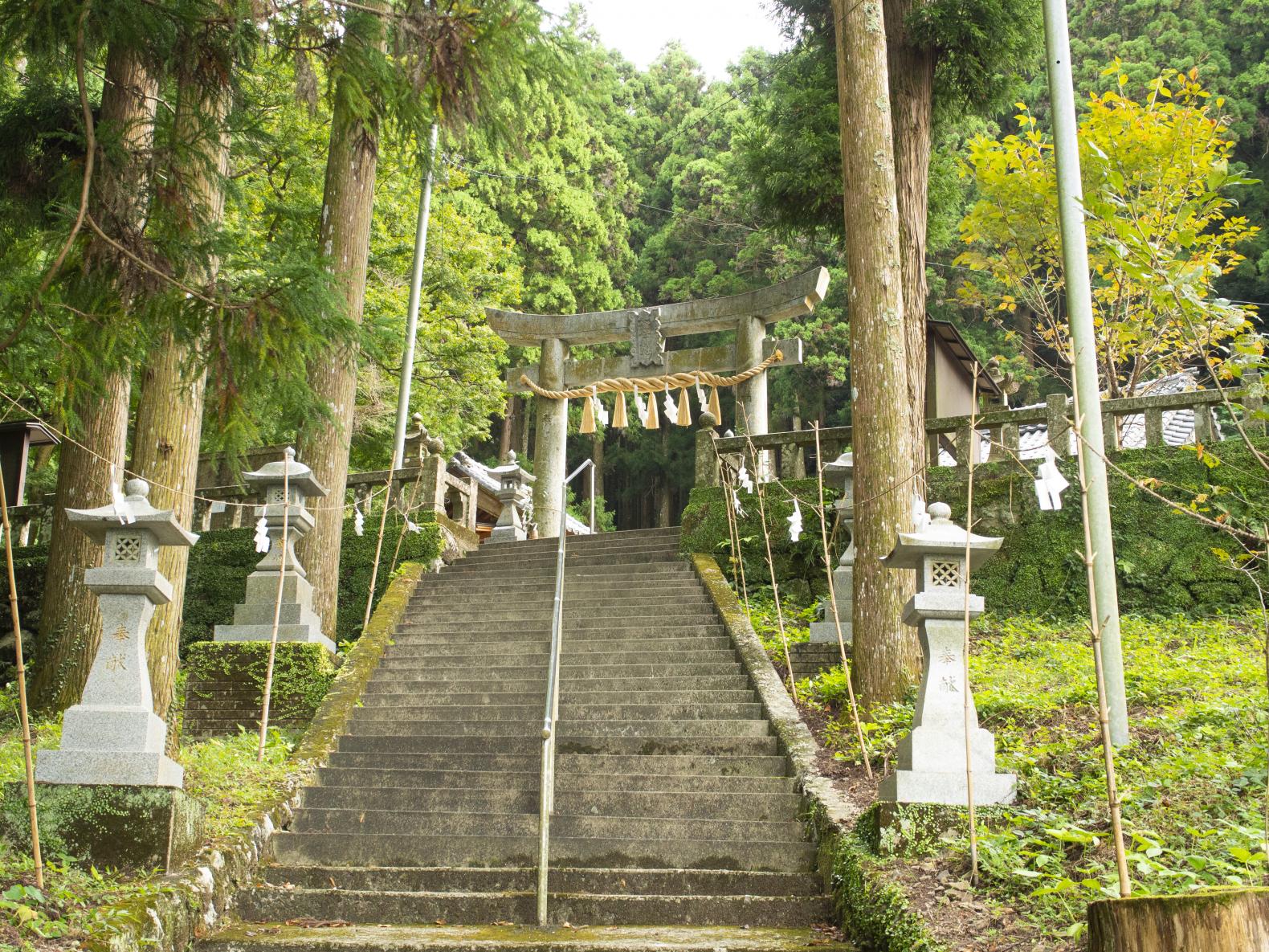 お守りやおみくじに注目「金屋神社」-2