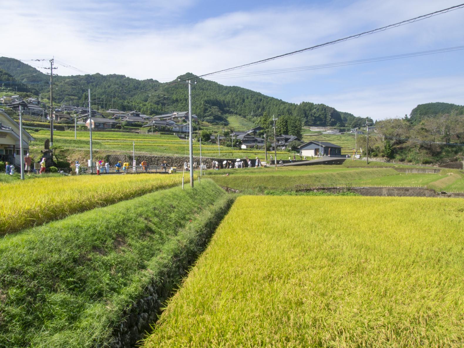 秋分の日の恒例「鬼木棚田まつり」-1