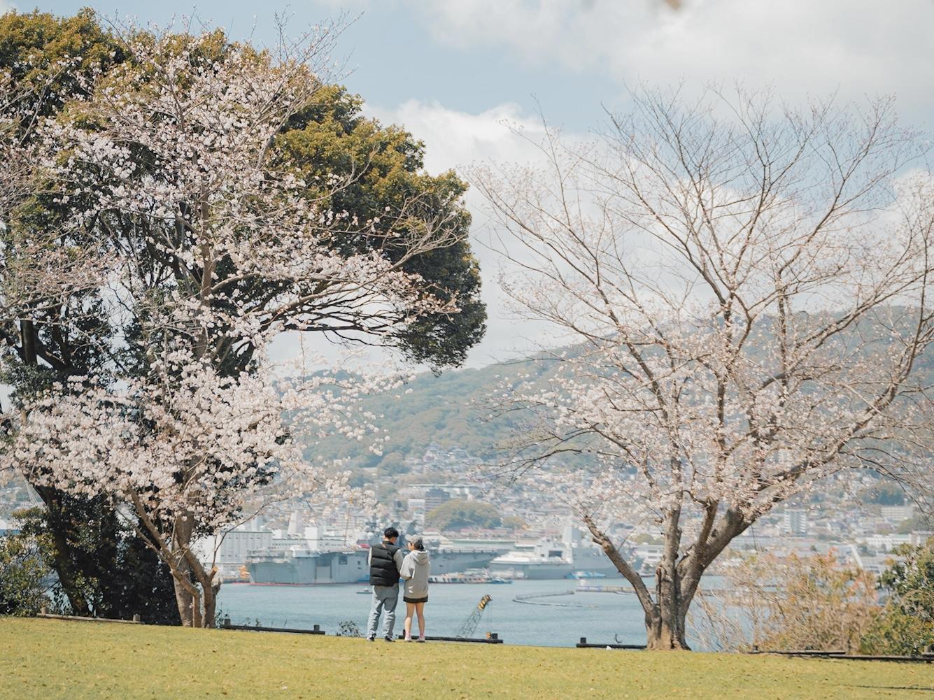 佐世保港に浮かぶ護衛艦と桜を一望！【干尽公園】-0