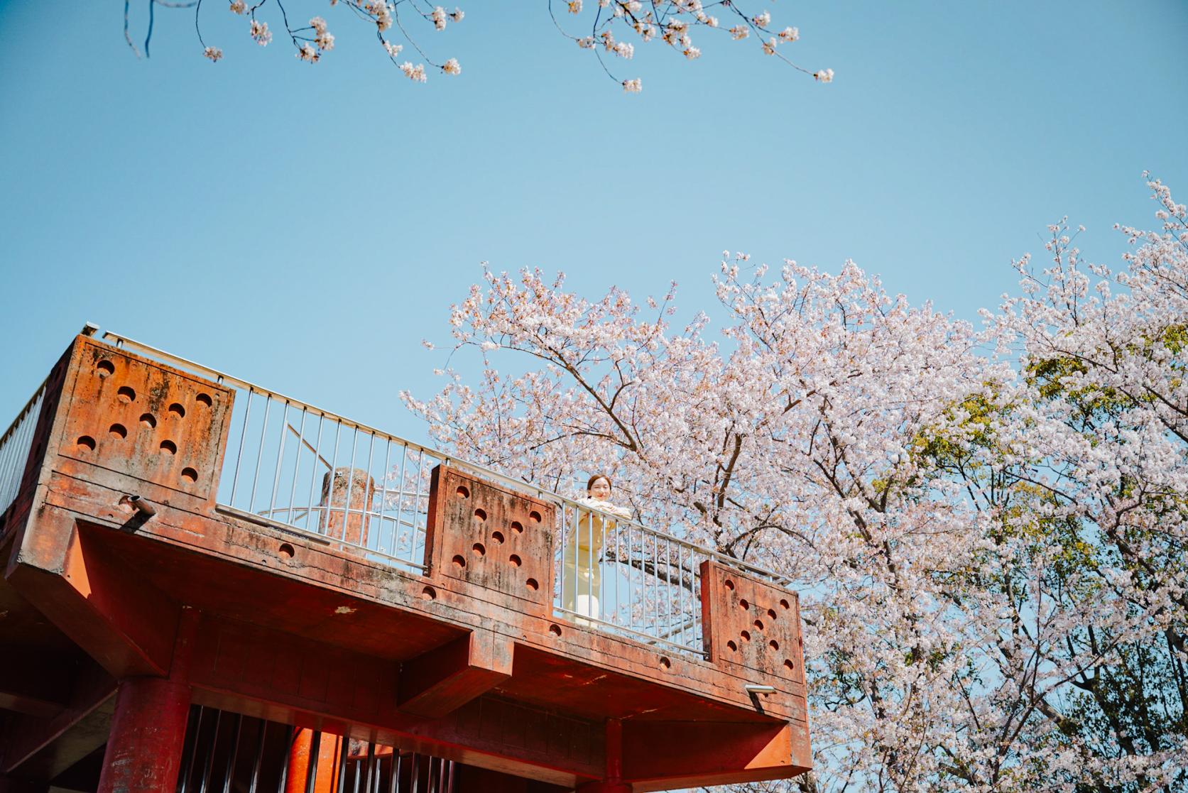 佐世保の街を一望できる高台！桜と展望塔が映える【天神山公園】-2