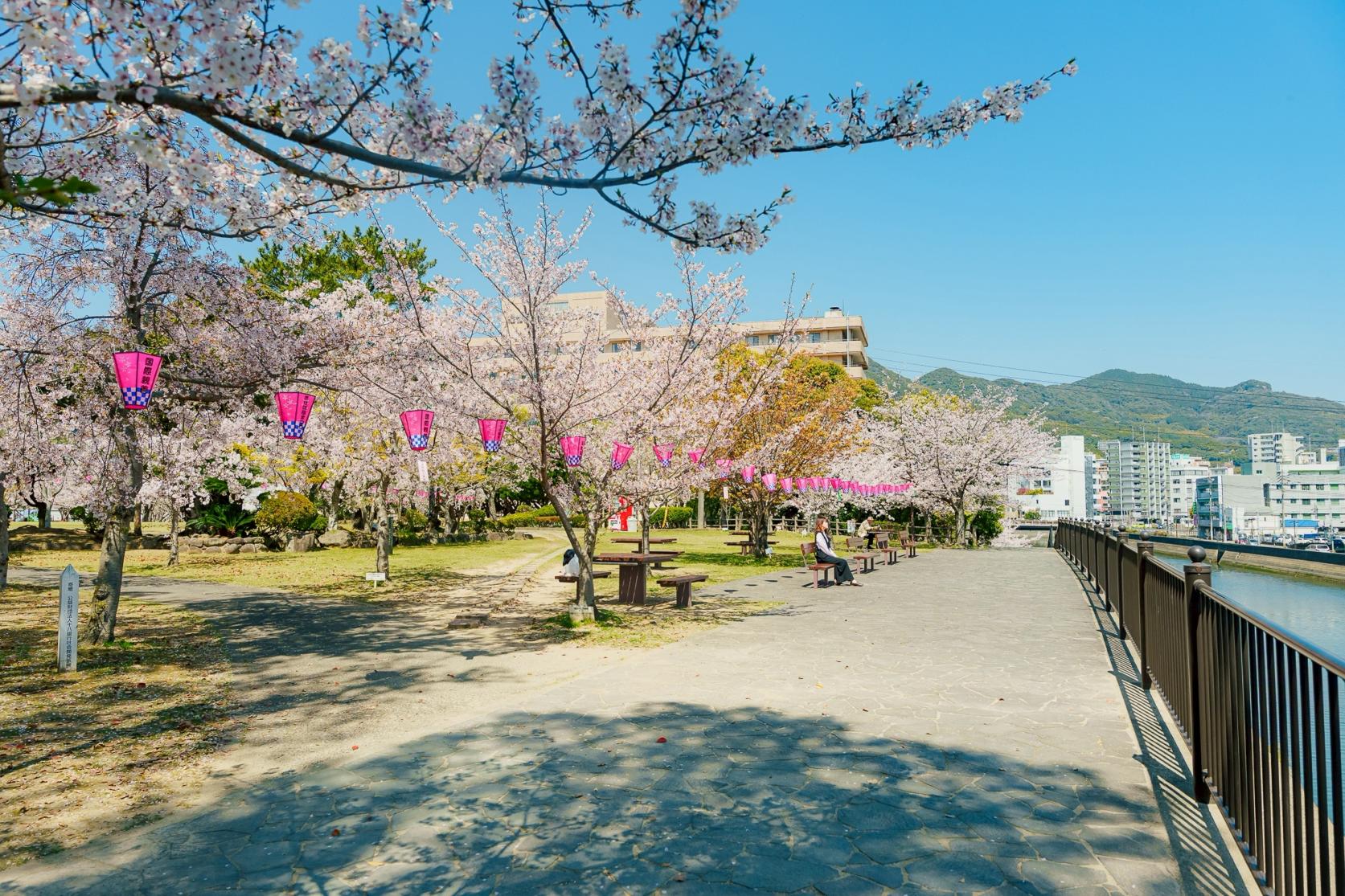 昼も夜も楽しめる！佐世保の王道お花見スポット【佐世保公園】-0