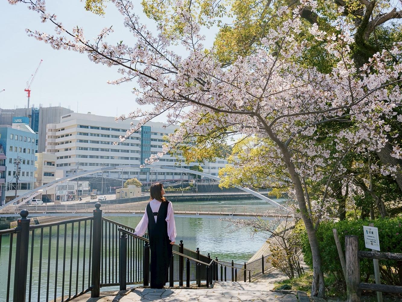 昼も夜も楽しめる！佐世保の王道お花見スポット【佐世保公園】-1