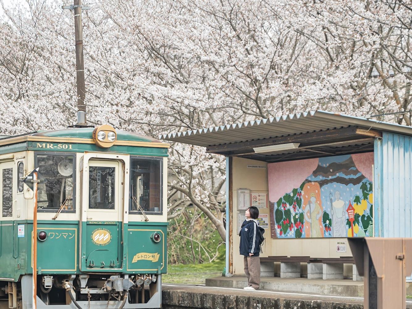 ローカル鉄道と桜のアーチが楽しめる春の名所【吉井駅】-0