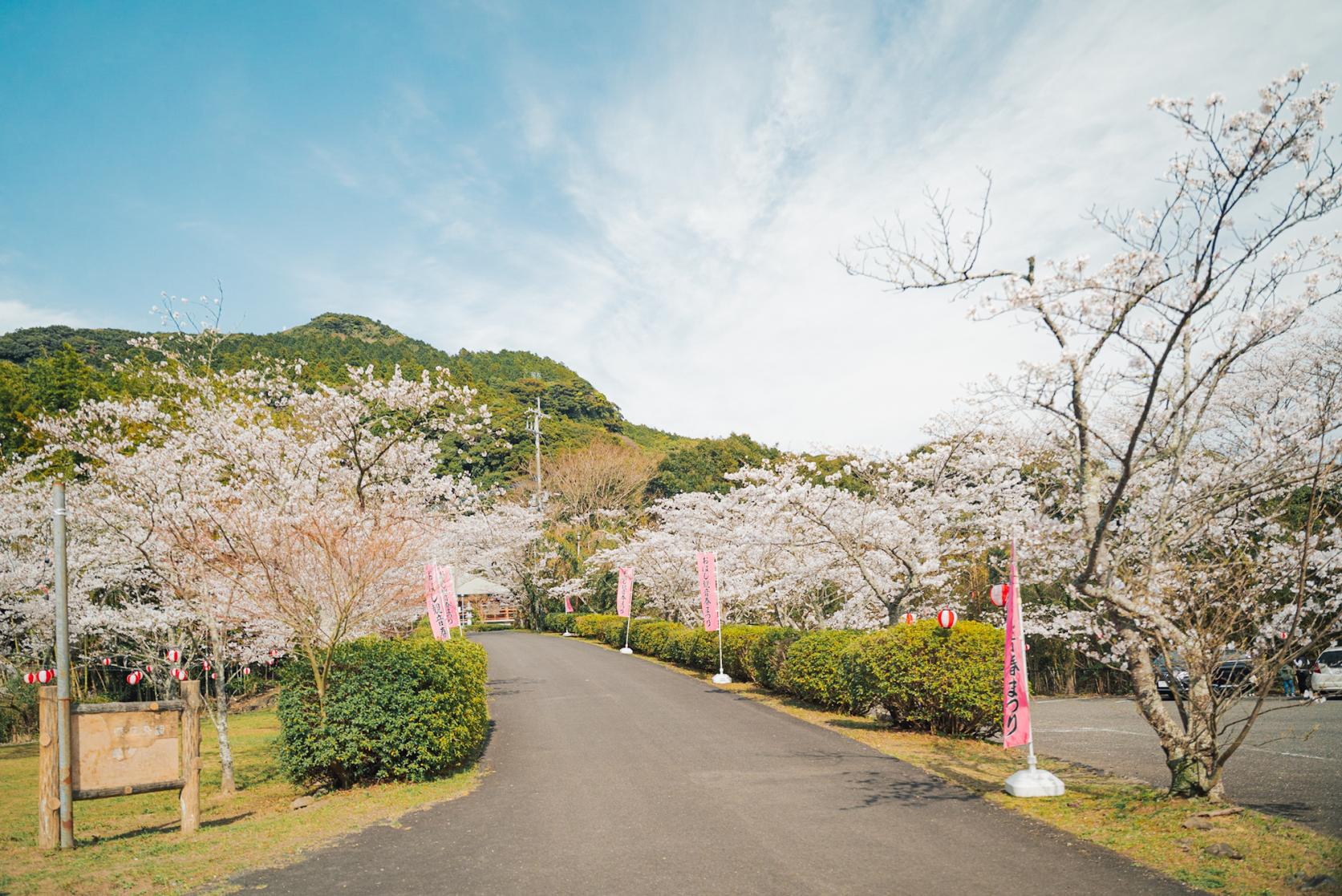 空にかかる石橋と桜に癒される春の名所【御橋観音】-0